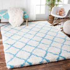 Soft Fluffy Area Rug